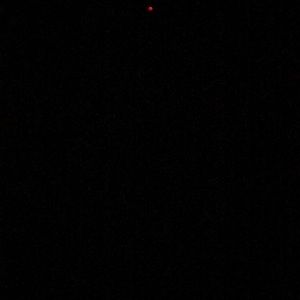 Meet your Posher, Irma